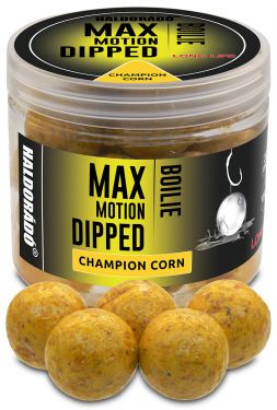 Haldorado - Max Motion Boilie Dipped - Champion Corn, 20mm