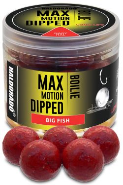 Haldorado - Max Motion Boilie Dipped - Big Fish, 20mm